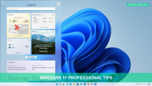 Windows 11 Professional Tips